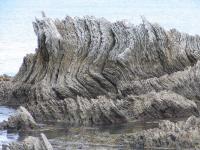 Albums/20060200-New Zealand 2006/20060318-Kaikiura/8